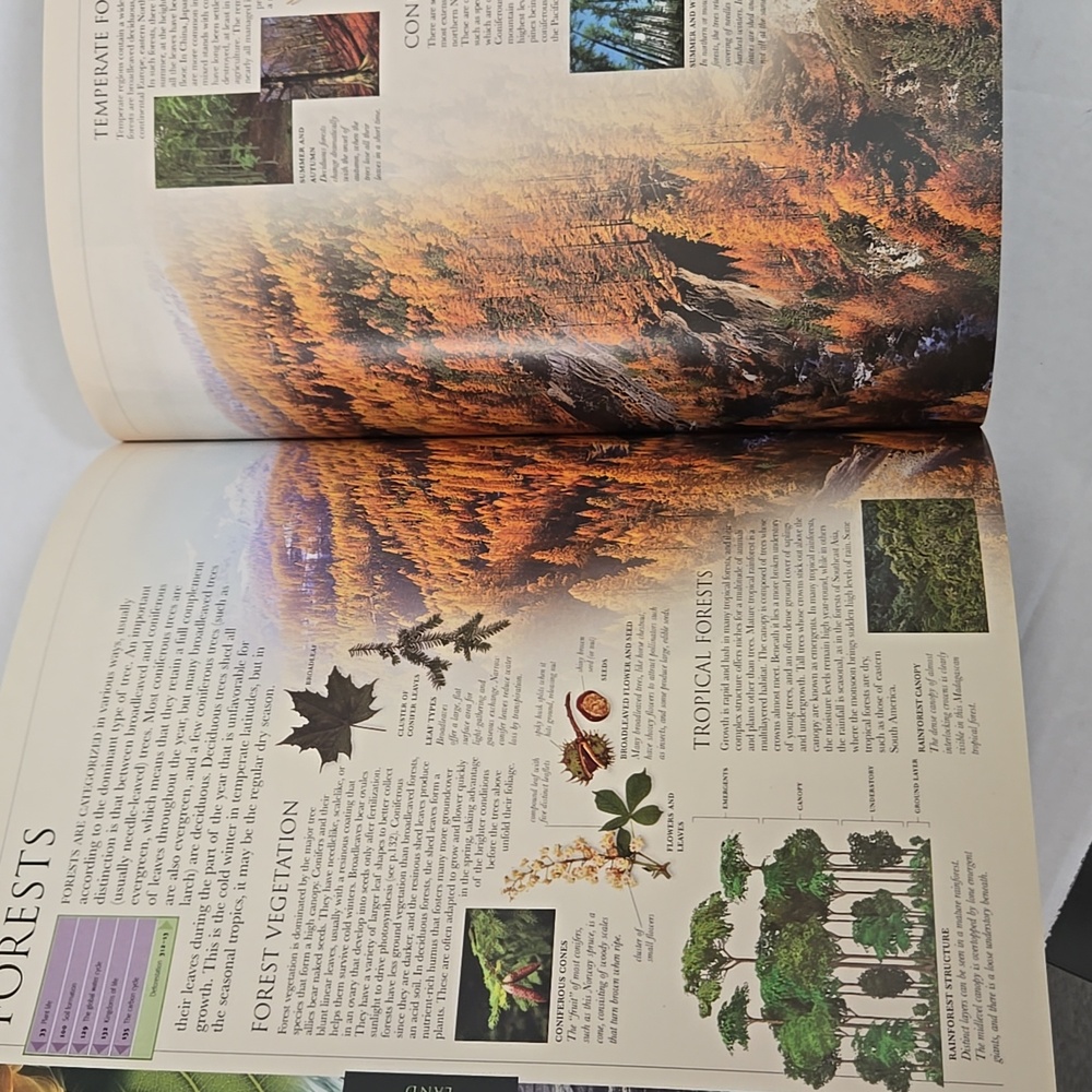 Smithsonian Earth Visual Guide - Picture 9 of 12